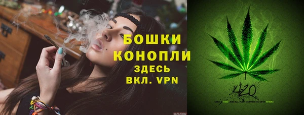 молекула духа Новозыбков
