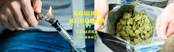 молекула духа Новозыбков