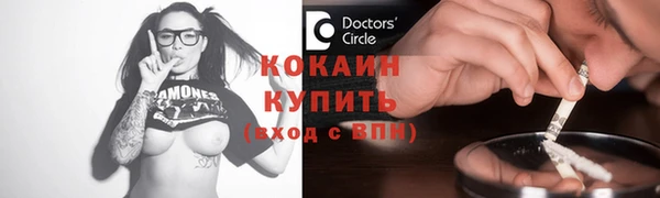 молекула духа Новозыбков