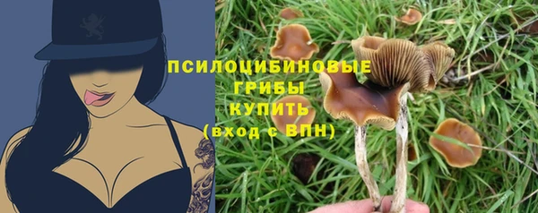стафф Нея