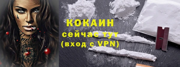 молекула духа Новозыбков