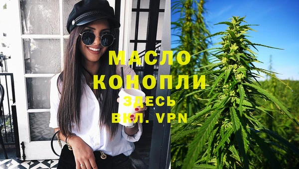 молекула духа Новозыбков