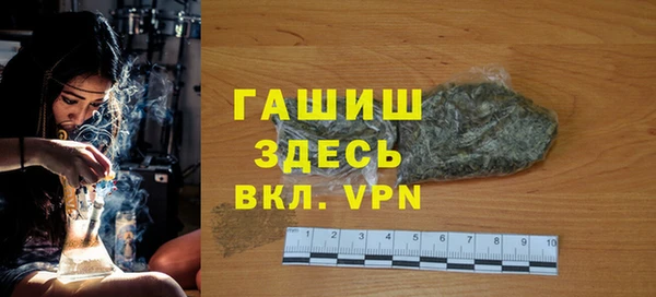 молекула духа Новозыбков
