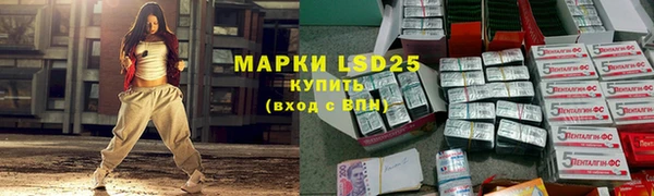 молекула духа Новозыбков