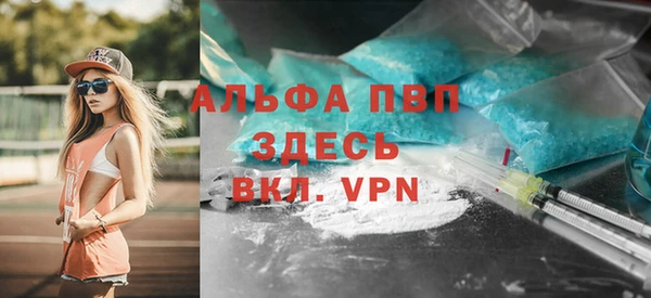 первитин Новодвинск