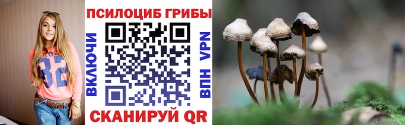 Галлюциногенные грибы MAGIC MUSHROOMS  Шелехов 